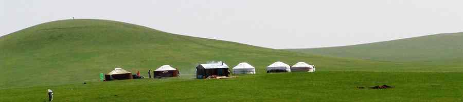 Inner Mongolia Tours to grassland