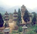 2 Days Tour for Longmen Grottoes Cave & Shaolin Temple pictures