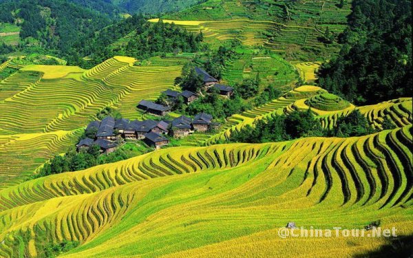 Longji Terrace1