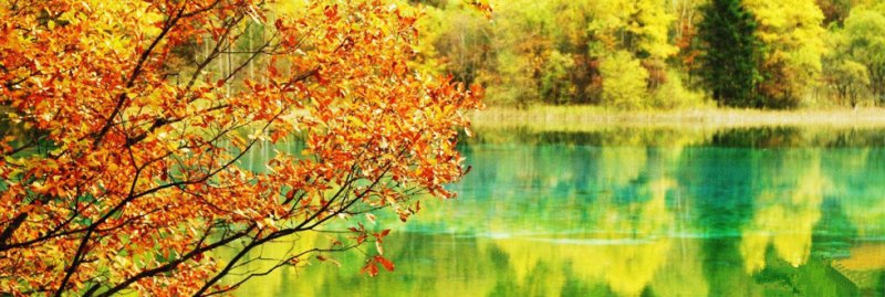 Jiuzhaigou's Autumn