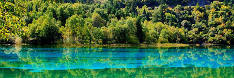 Jiuzhaigou's Summer