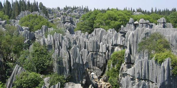 stone forest2