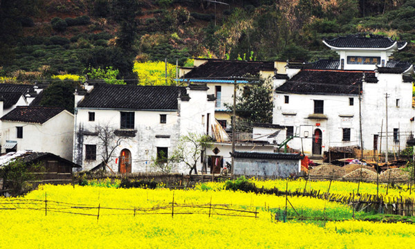 wuyuan