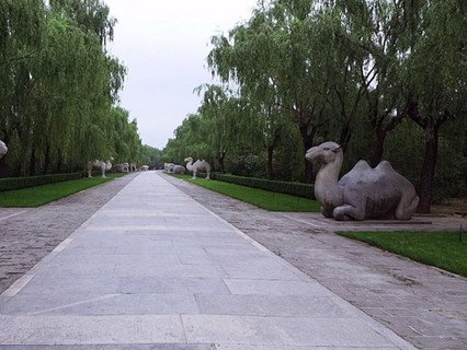 1 Day Tour Mutianyu Great Wall Ming Tomb Sacred Road - 