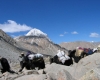 Mt.Kailash